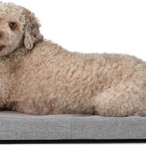 Dog Bed I Water Resistant Pet Bed I Removable Outer Cover I Grey Comfortable Dog Bed with Headrest I Grey (Intermediate)