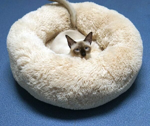 Modern Soft Plush Round Pet Bed for Cats or Small Dogs, Mini Medium Sized Dog Cat Bed Self Warming Autumn Winter Indoor Snooze Sleeping Cozy Kitty Teddy Kennel (20'' D x 8'' H, Champagne) - Image 2