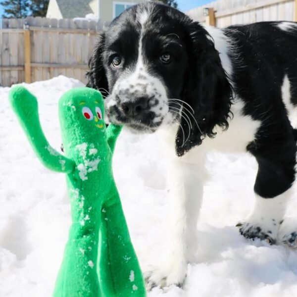 Dog Plush Toy - Squeaky Dog Toy for All Dogs - Extra Soft Plush Dog Toy w/ Flexible Legs & Arms - Stuffed Animal Dog Toy for Cuddling & Playing - Cute Dog Pet Toy (9", Green) - Image 2
